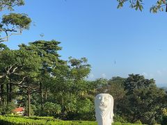 -花柏山公园