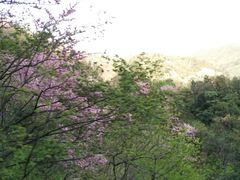 -老君洞旅游度假区