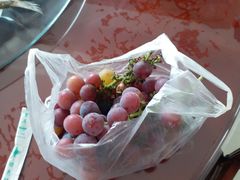 -乡乐园蟹庄·阳澄湖农家乐