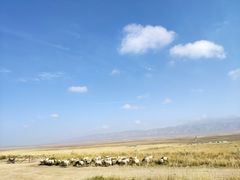 -青海湖国家重点风景名胜区