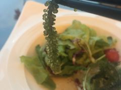 -顶鲜101美食美景餐厅