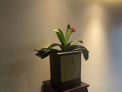 -食悦江南·淮扬菜·烤鸭(亚运村·惠新店)
