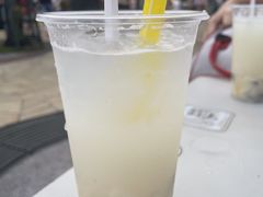 红毛榴莲汁-纽顿熟食中心