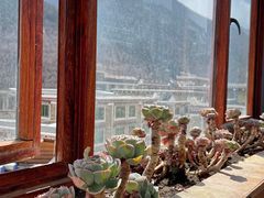 -四姑娘山阿巴郎·藏式花园餐厅