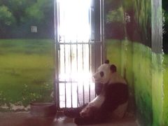 -苏州太湖国家湿地公园