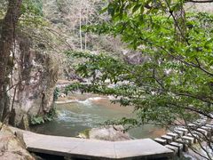 -刘伯温故里景区百丈漈