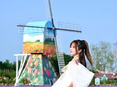 -荷兰花海