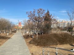 -绿岛公园(滨海新区)