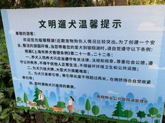 -南翔镇银翔湖公园