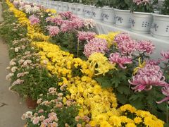 -369自助烤肉鱼火锅(平阳路店)