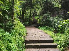 -武夷山风景名胜区-虎啸岩
