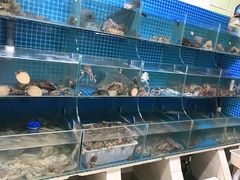 水产区-宾朋海鲜特色美食餐厅·纯手工鲅鱼水饺(兴海路店)