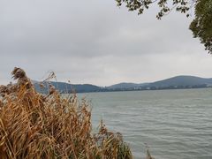 -无锡蠡湖国家湿地公园-蠡园