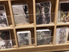 -猫的天空之城概念书店(苏州诚品店)