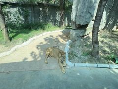 -北京野生动物园