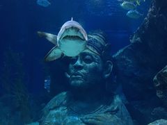 -暹罗海洋世界