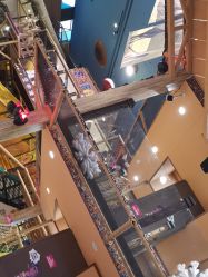 -卡通尼·Safari非洲探索乐园·生日会(金桥国际商业广场店)