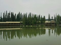 -秀丽东方