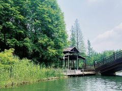 -溱湖国家湿地公园