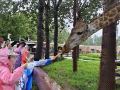 -全聚德(蓝山店)