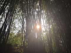 -远山有窑