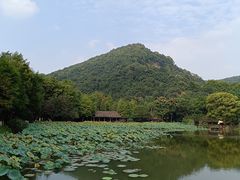 -八卦田遗址公园