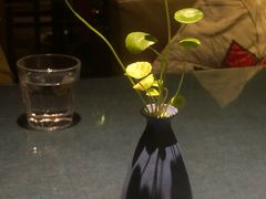 -野蔓果·山野菜(西湖景区·龙井茶田店)