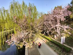 -元大都城垣遗址公园