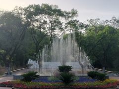 -乌素图国家森林公园