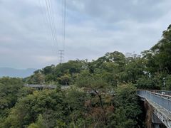 -金鸡山公园