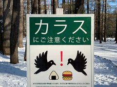 -北海道神宫