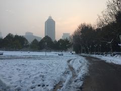 -南京奥林匹克体育中心-体育馆