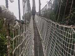-野象谷景区