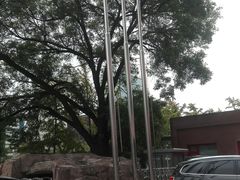 -北京市海淀医院-停车场