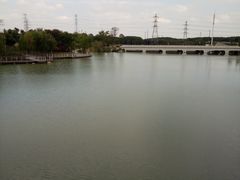 -蛙麻蛙辣炭火蛙锅(南环大街店)