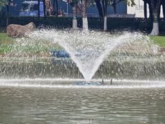 -映月湖公园