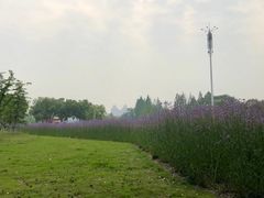 -杭州城北体育公园