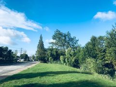 -梁鸿国家湿地公园