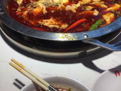 -蜀滋香鲜鱼美蛙火锅(339店)