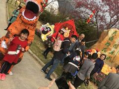 -天适樱花悠乐园