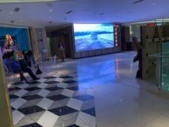 -百丽宫影城(CGS激光苏宁广场店)