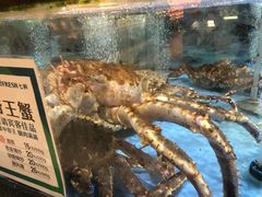 水产区-七鲜超市(万向城店)