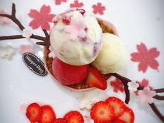 樱你而美-哈根达斯(深圳海岸城店)