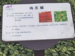 -南山植物园