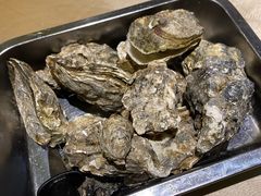 -张记旺角食街(动物园店)
