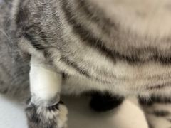 -美联众合24小时·皮肤科·外科·全科诊疗中心(华苑分院)
