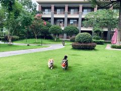 -成都安仁福朋喜来登酒店