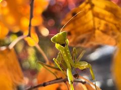 -周口店坡峰岭风景区