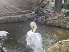 -燕塞湖鸟语林景区