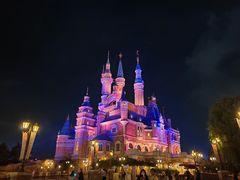 -上海迪士尼度假区